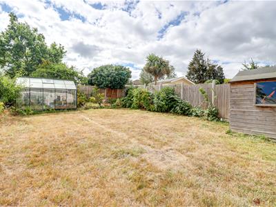 Picture 25
